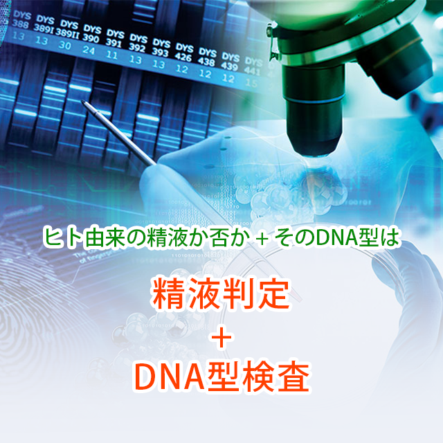 精液判定＋DNA型個人識別+混合DNA試料から男女分離DNA検出
