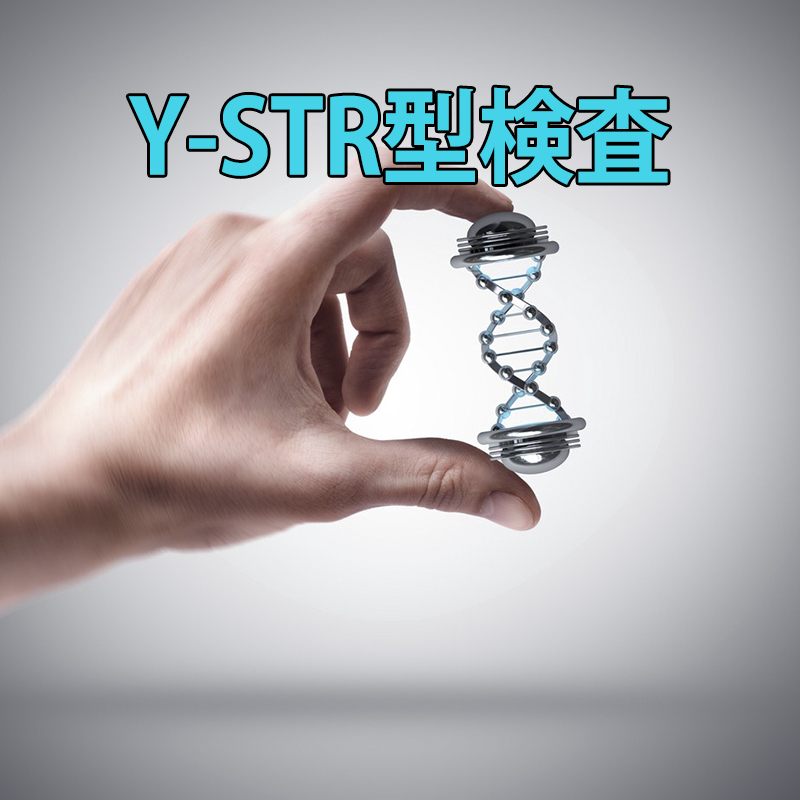 Ｙ－ＳＴＲ型検査