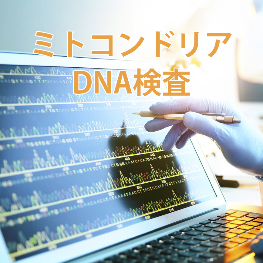 ミトコンドリアDNA鑑定（当社指定綿棒以外）